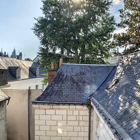 Le Petit Paradis * Tours